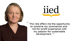 A head and shoulders image of new IIED chief operating officer Deborah Harris, who started her role on 23 May (Photo: Deborah Harris)