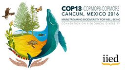 The CBD COP13 logo. IIED and partners will be at the Convention on Biological Diversity conference in Cancun, Mexico, in December 