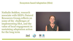 IIED research associate Nathalie Seddon discusses nature-based solutions to climate change in a video interview (Photo: IIED)