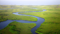 A coastal river system seen from above