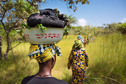 Line of women walking through a field. One carries a basket on her head.