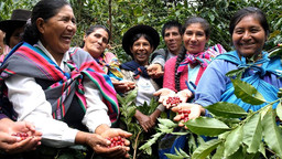 A group of women in a forest smile as they hold out handfuls of coffee beans 