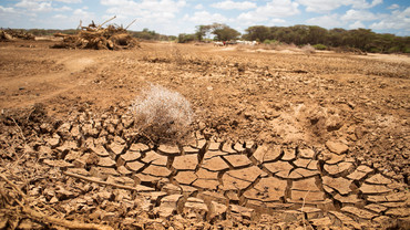 Millions of Kenyans depend on the Ewaso Ngiro river and its tributaries, but over-abstraction and changing weather patterns are reducing river flows (Photo: Denis Onyodi/Kenya Red Cross Society, Creative Commons via Flickr)