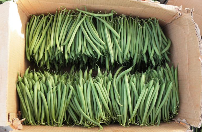 Green beans stacked into in a cardboard box