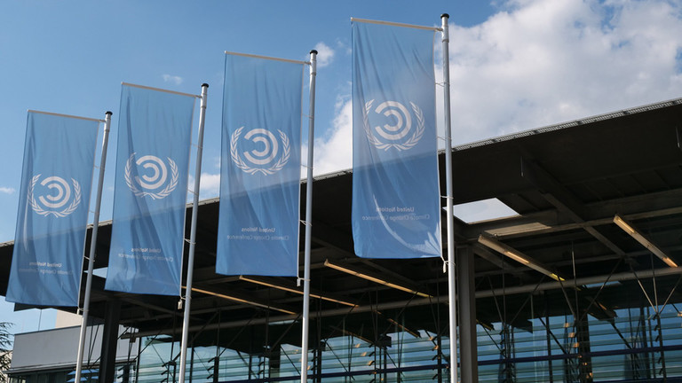 UNFCCC flags