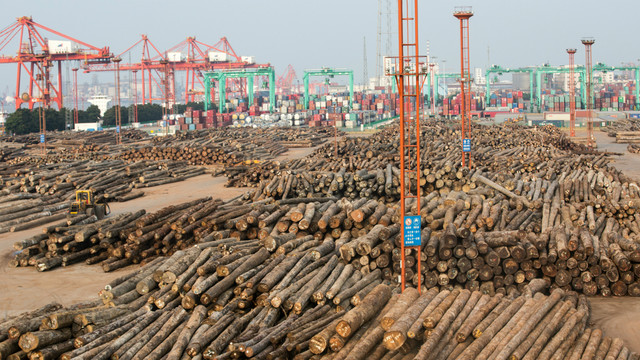 Vast quantities of logs being unloaded in the port of Zhangjiagang, South-East China. Estimates suggest timber imports travelling through Zhangjiagang increased by more than 60% in 2017 (Photo: Simon Lim/IIED)