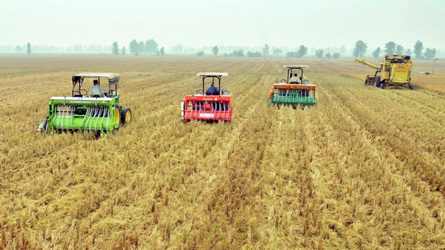 Combine harvesters in a wheat field