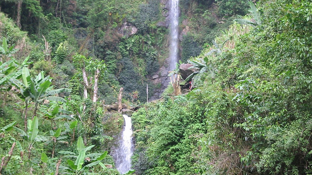 A scenic shot of forest with two waterfalls 